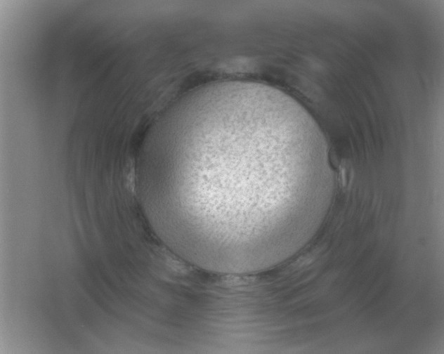 X0000063491251200602101824