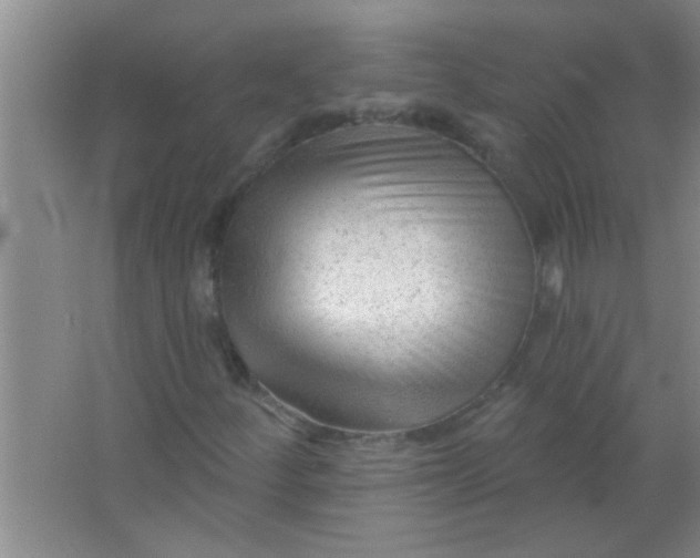 X0000063491252200602101824