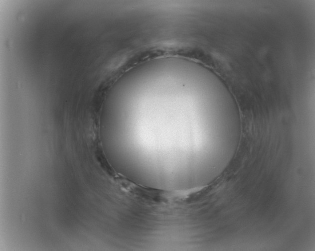 X0000063491253200602101824