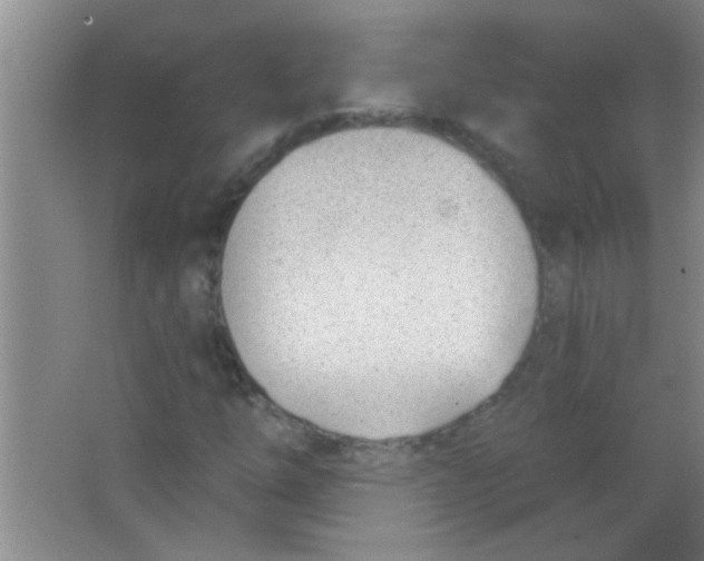 X0000063491254200602101824