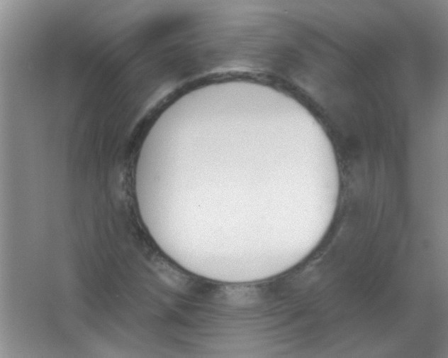 X0000063491258200602101824