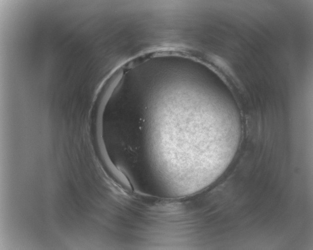 X0000063491260200602101824