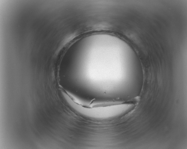 X0000063491261200602101824