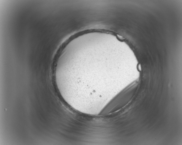 X0000063491264200602101824