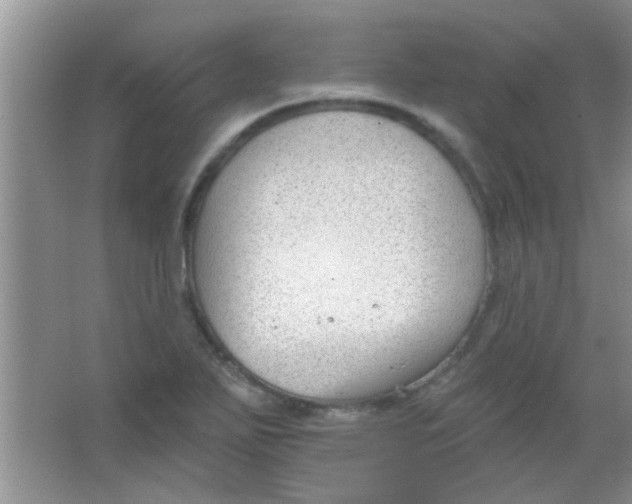 X0000063491271200602101824