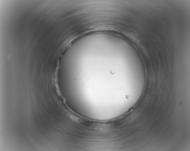 X0000063491273200602101824