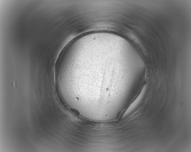 X0000063491275200602101824