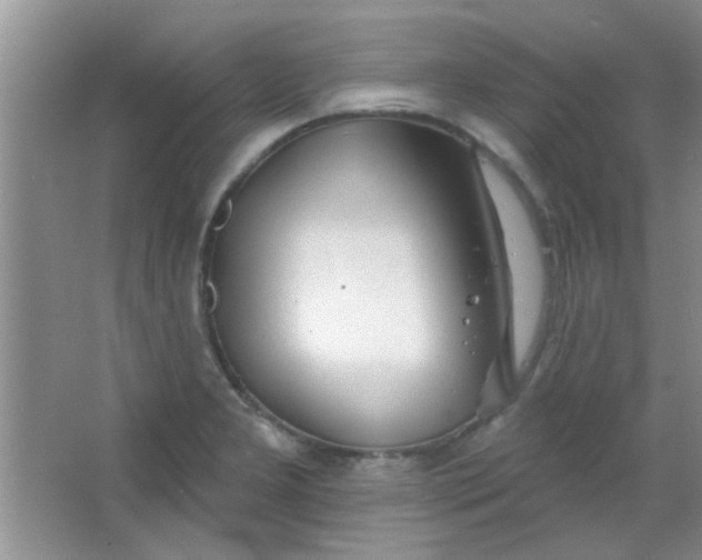 X0000063491277200602101823