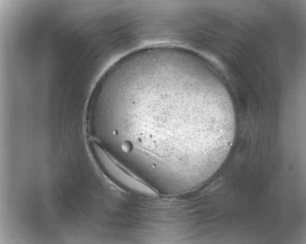 X0000063491279200602101823