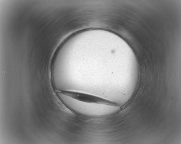 X0000063491280200602101823