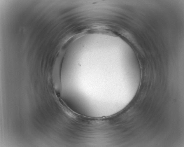 X0000063491281200602101823