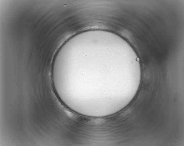 X0000063491282200602101823