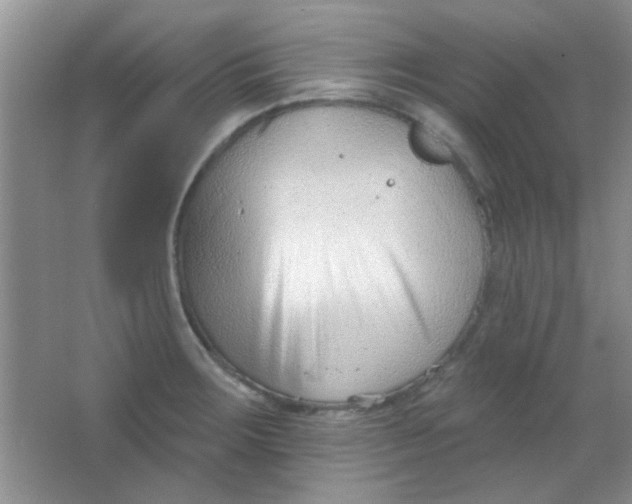 X0000063491283200602101823