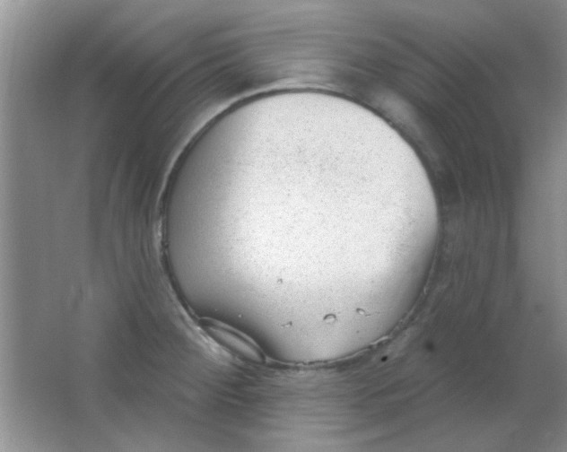 X0000063491284200602101823