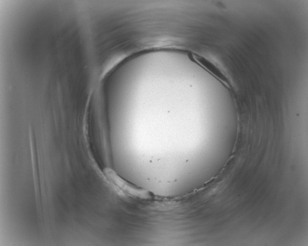 X0000063491285200602101823