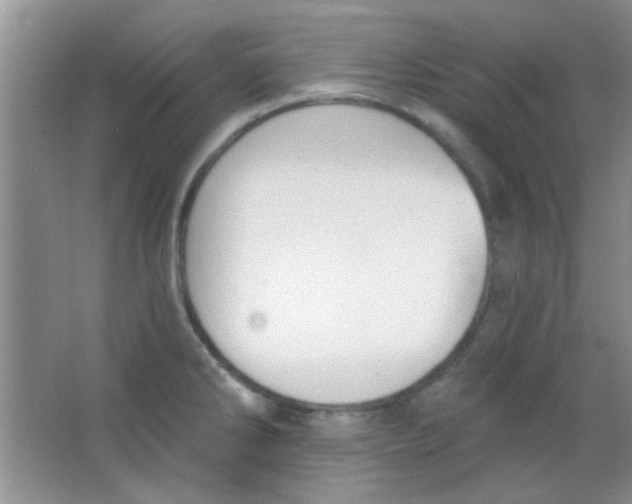 X0000063491286200602101823