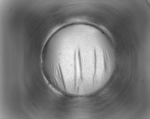 X0000063491287200602101823