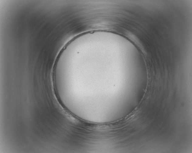 X0000063491291200602101823