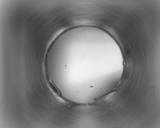 X0000063491293200602101823