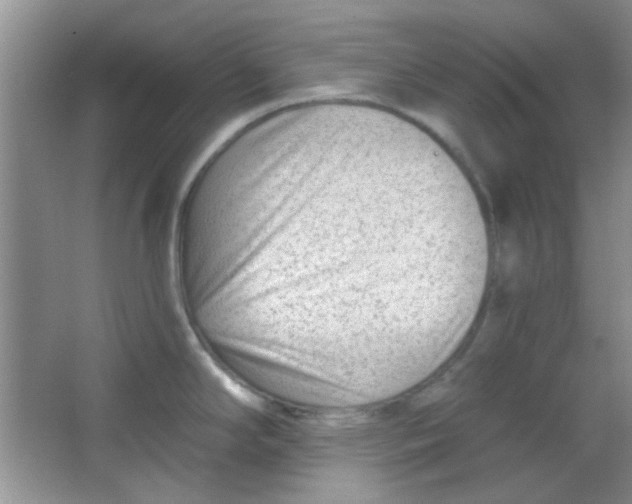 X0000063491294200602101823