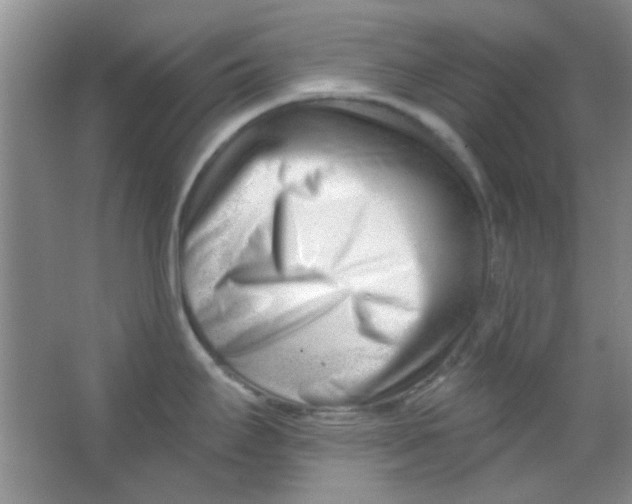 X0000063491295200602101823