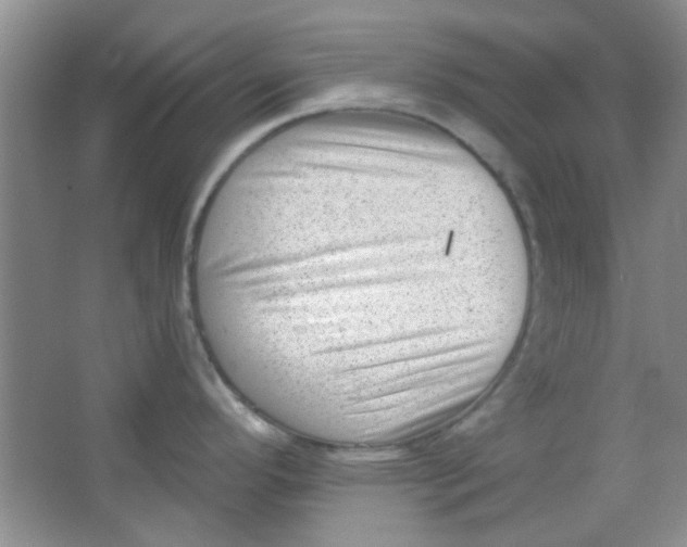 X0000063491296200602101823