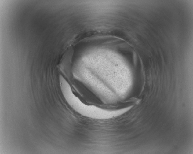 X0000063491298200602101822