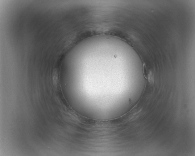 X0000063491299200602101822