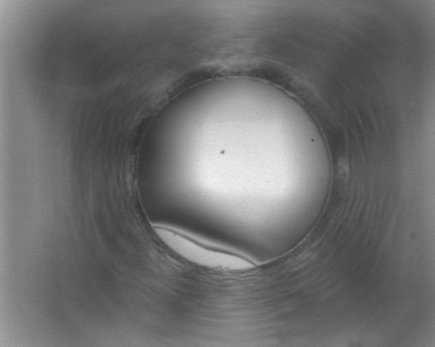 X0000063491300200602101822