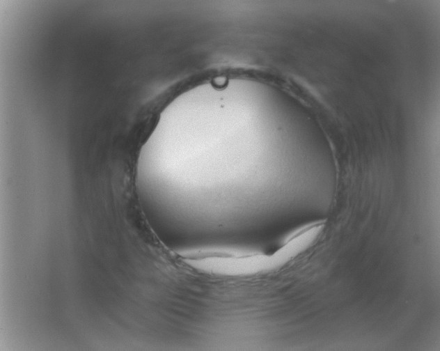 X0000063491303200602101822