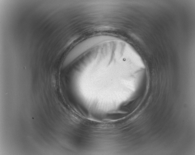 X0000063491305200602101822