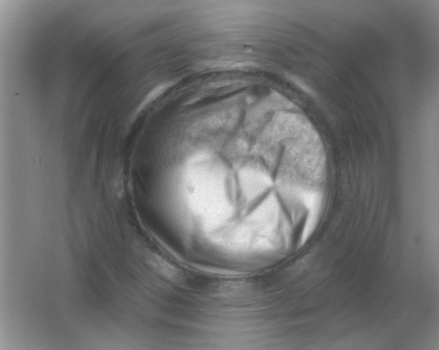 X0000063491306200602101822