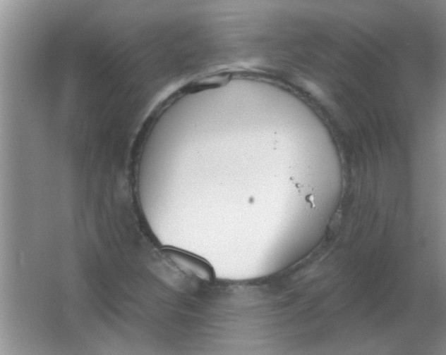 X0000063491308200602101823