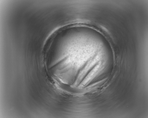 X0000063491310200602101823