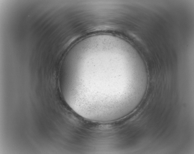 X0000063491313200602101823