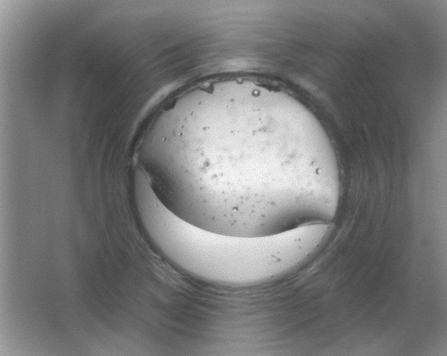 X0000063491314200602101823