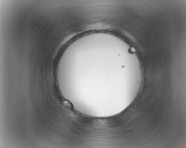 X0000063491315200602101823