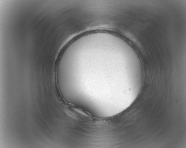 X0000063491316200602101823