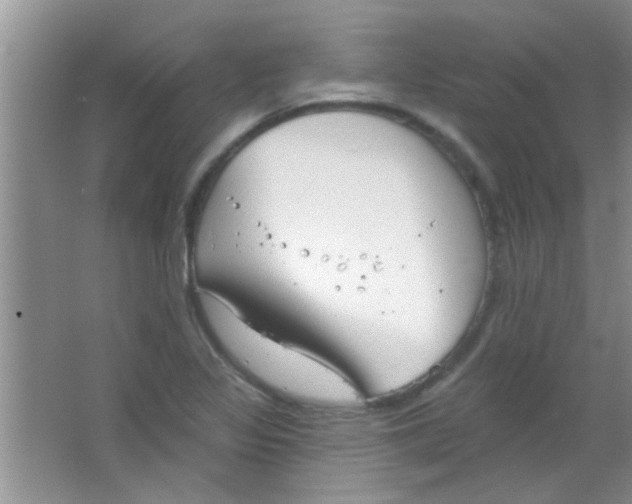 X0000063491317200602101823