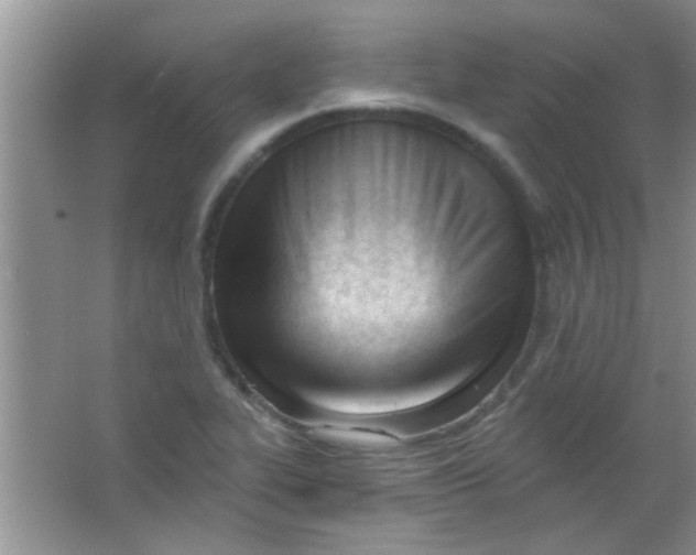 X0000063491319200602101823