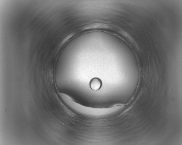 X0000063491321200602101823