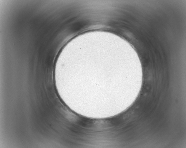 X0000063491322200602101823