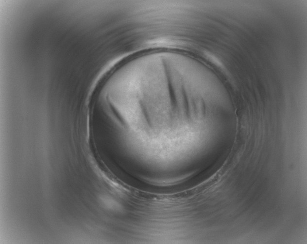 X0000063491323200602101823