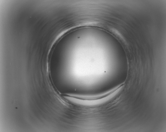 X0000063491324200602101823