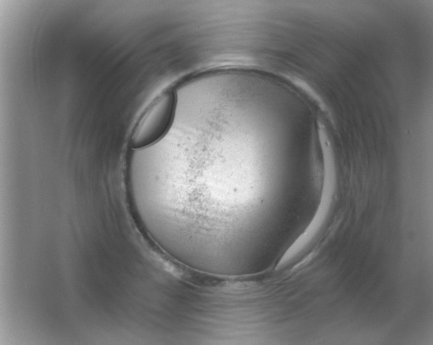 X0000063491325200602101823