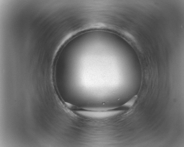 X0000063491326200602101823