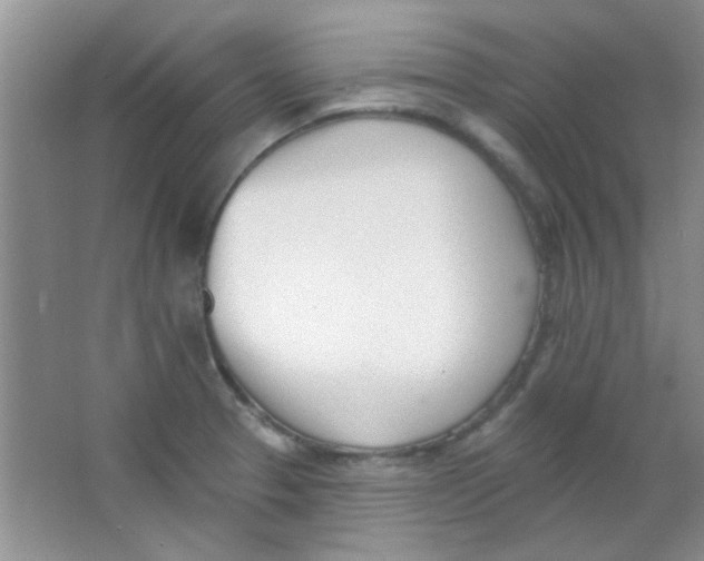 X0000063491329200602101823