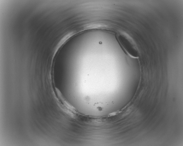 X0000063491330200602101823