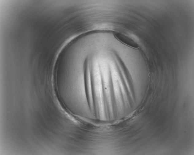 X0000063491331200602101823