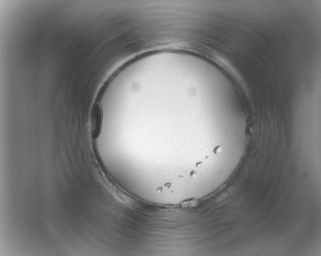 X0000063491332200602101823